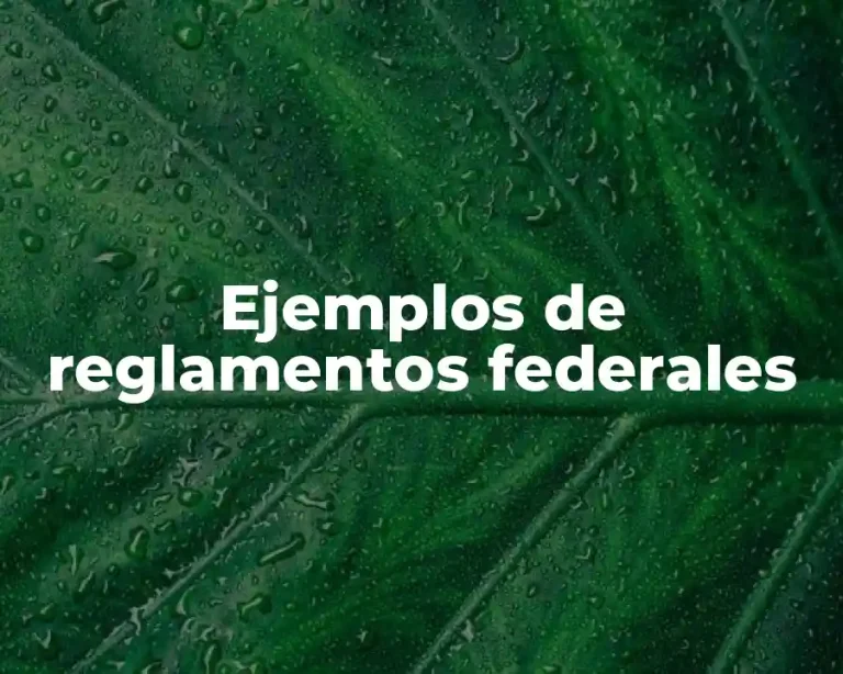 Ejemplos de reglamentos federales