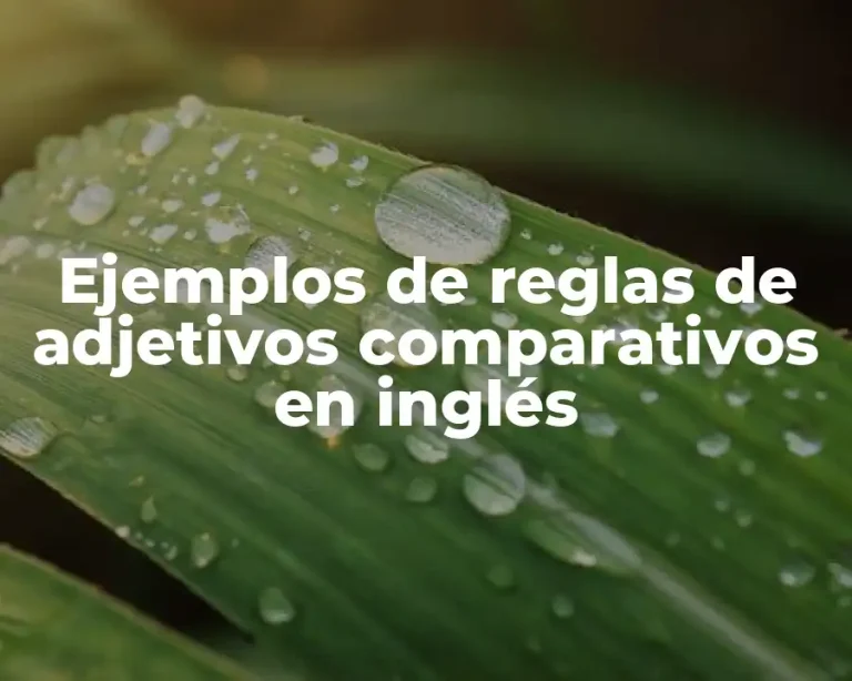 Ejemplos de reglas de adjetivos comparativos en inglés