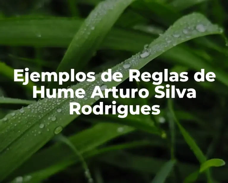 Ejemplos de Reglas de Hume Arturo Silva Rodrigues