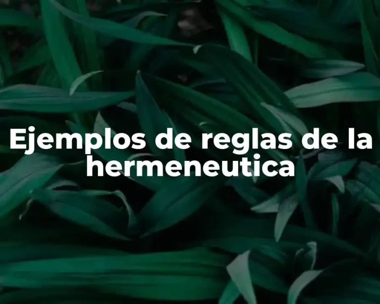 Ejemplos de reglas de la hermeneutica
