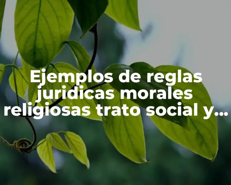 Ejemplos de reglas juridicas morales religiosas trato social y tecnicas
