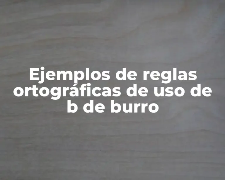 Ejemplos de reglas ortográficas de uso de b de burro