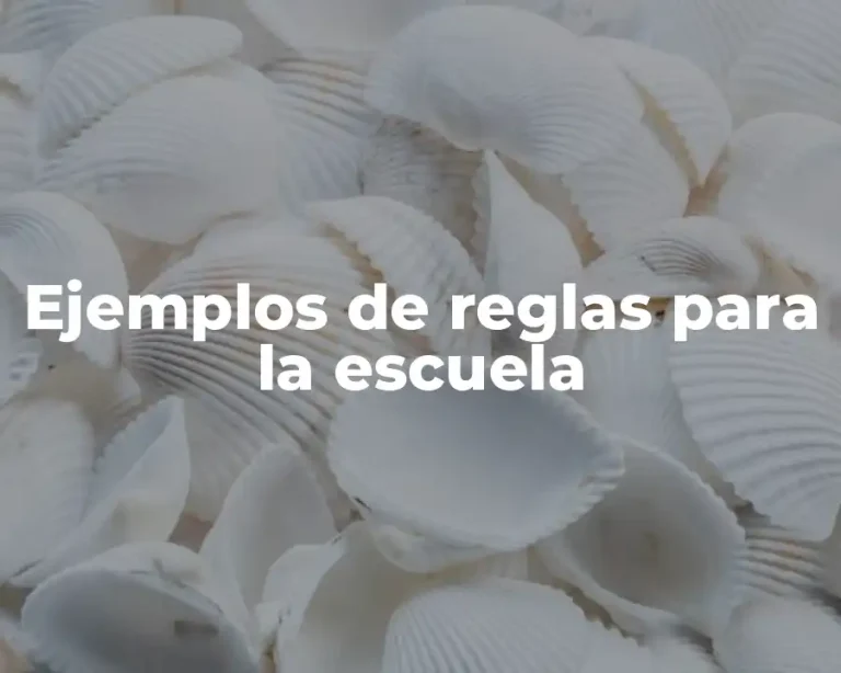 Ejemplos de reglas para la escuela