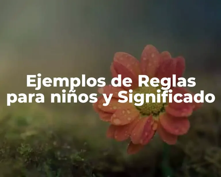 Ejemplos de Reglas para niños y Significado
