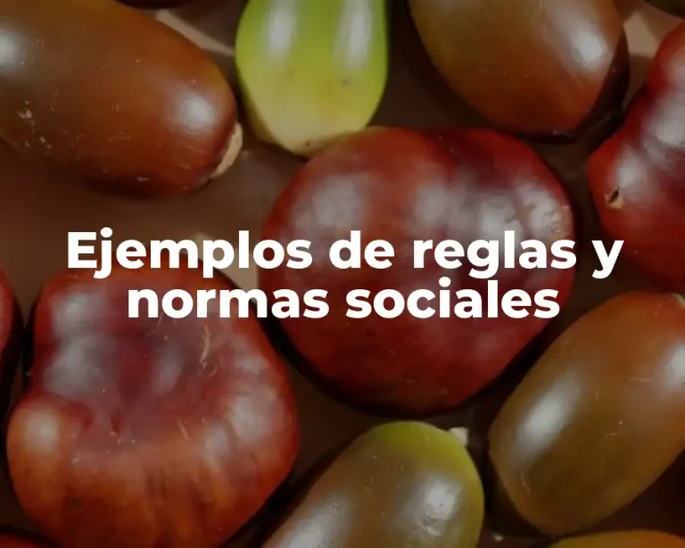 Ejemplos de reglas y normas sociales
