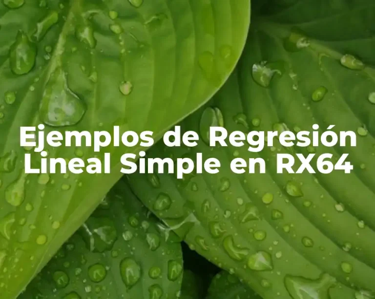 Ejemplos de Regresión Lineal Simple en RX64