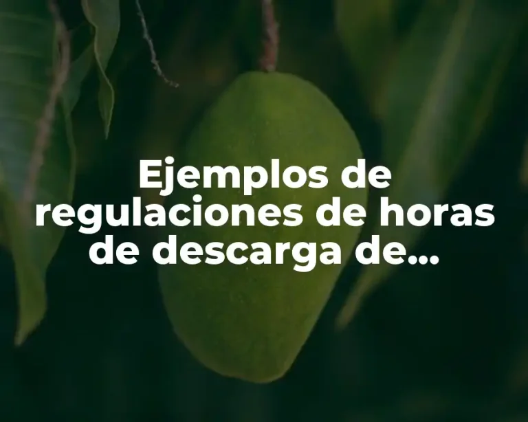 Ejemplos de regulaciones de horas de descarga de vehículos