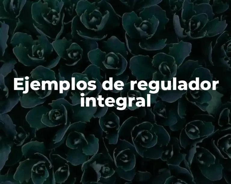 Ejemplos de regulador integral