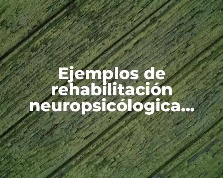 Ejemplos de rehabilitación neuropsicólogica mediante la compensación
