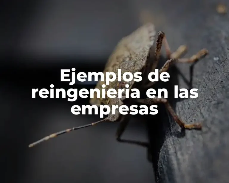 Ejemplos de reingenieria en las empresas