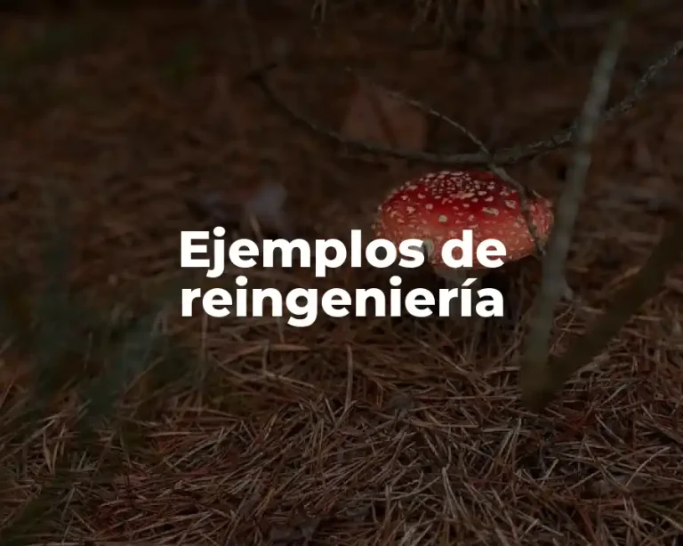 Ejemplos de reingeniería