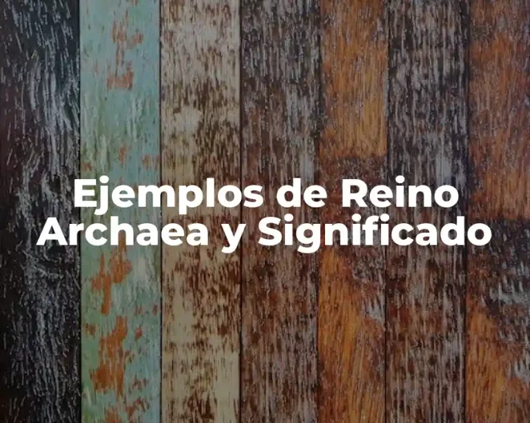 Ejemplos de Reino Archaea y Significado
