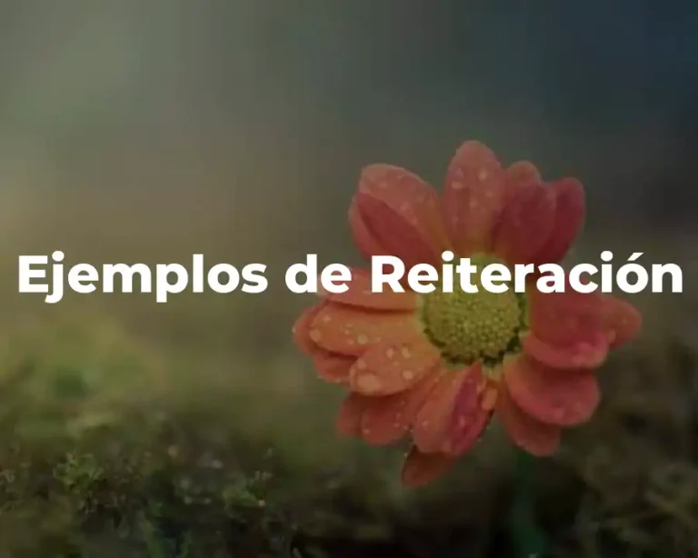 Ejemplos de Reiteración