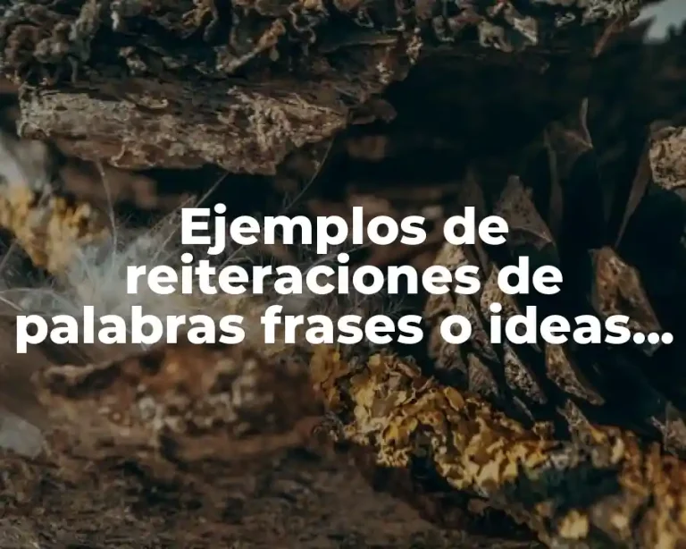 Ejemplos de reiteraciones de palabras frases o ideas en leyendas