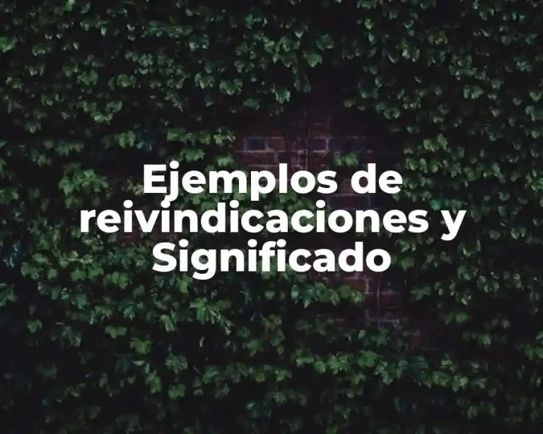 Ejemplos de reivindicaciones y Significado