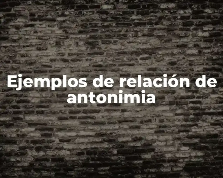 Ejemplos de relación de antonimia