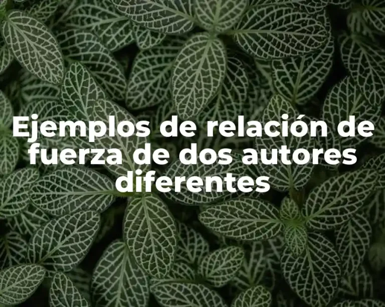 Ejemplos de relación de fuerza de dos autores diferentes