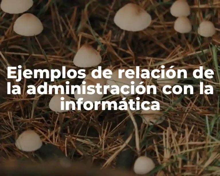 Ejemplos de relación de la administración con la informática