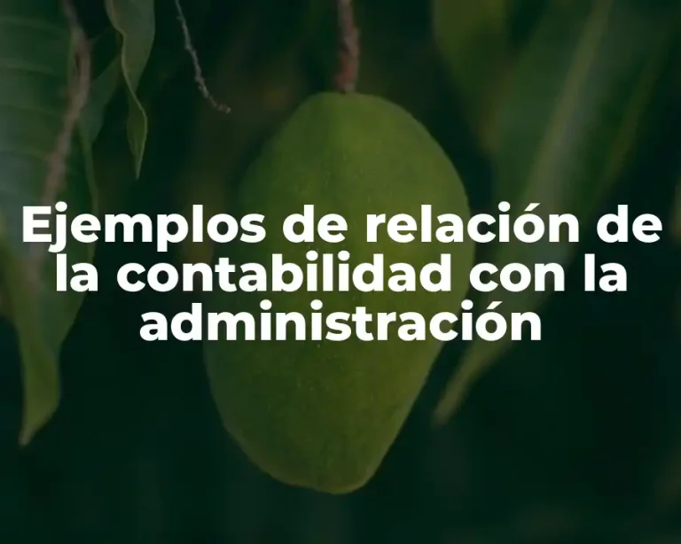 Ejemplos de relación de la contabilidad con la administración