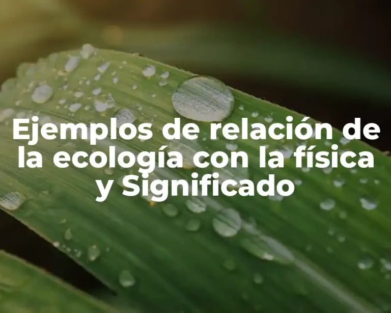 Ejemplos de relación de la ecología con la física y Significado