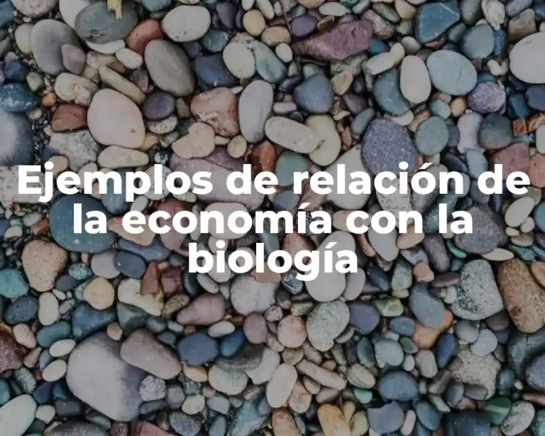 Ejemplos de relación de la economía con la biología