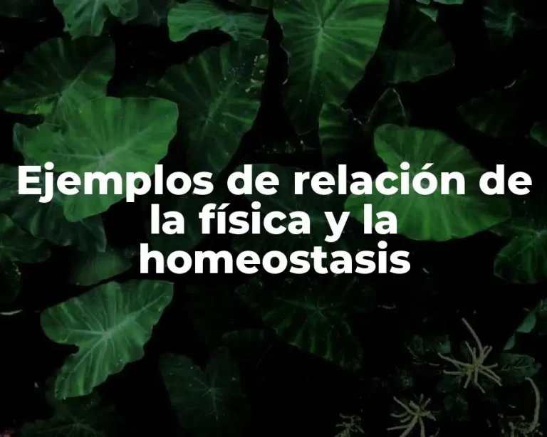 Ejemplos de relación de la física y la homeostasis