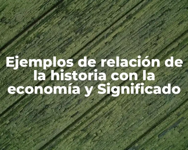 Ejemplos de relación de la historia con la economía y Significado