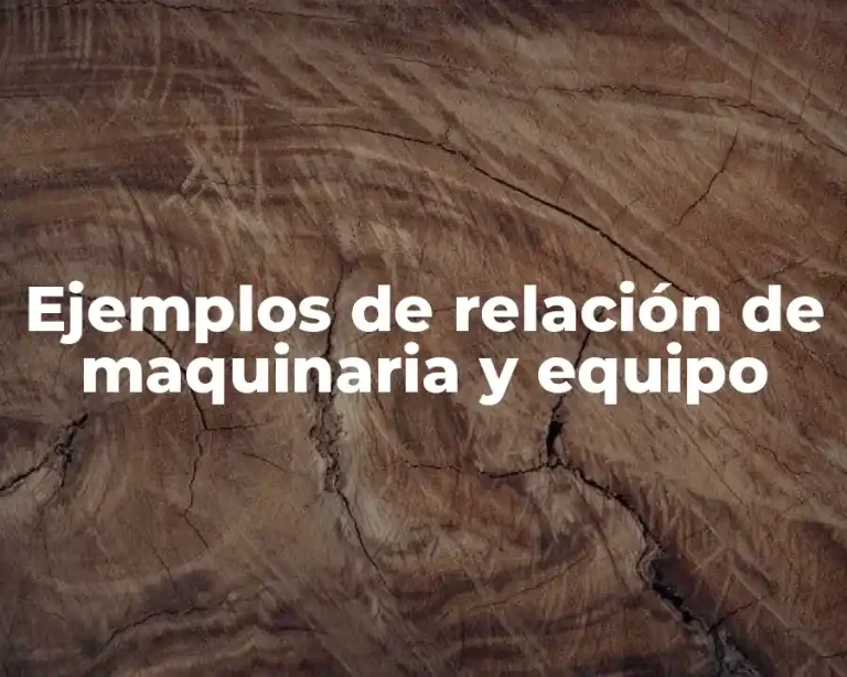 Ejemplos de relación de maquinaria y equipo