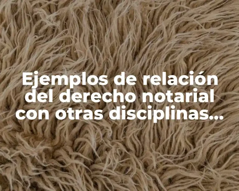 Ejemplos de relación del derecho notarial con otras disciplinas jurídicas