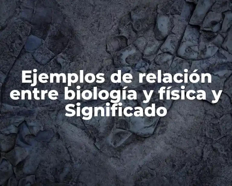 Ejemplos de relación entre biología y física y Significado