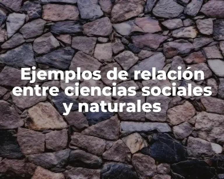 Ejemplos de relación entre ciencias sociales y naturales