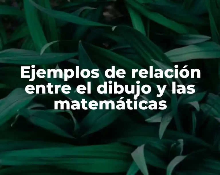 Ejemplos de relación entre el dibujo y las matemáticas