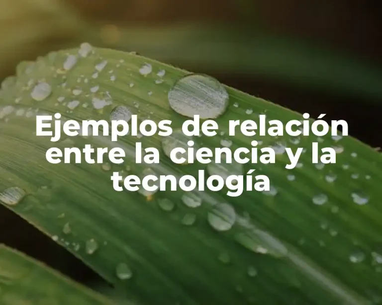 Ejemplos de relación entre la ciencia y la tecnología