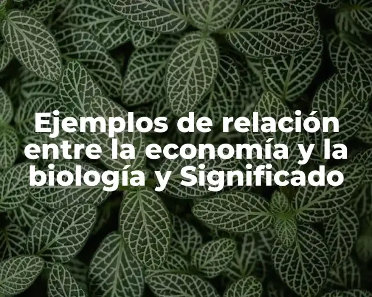 Ejemplos de relación entre la economía y la biología y Significado