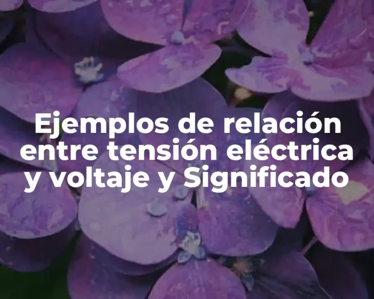 Ejemplos de relación entre tensión eléctrica y voltaje y Significado