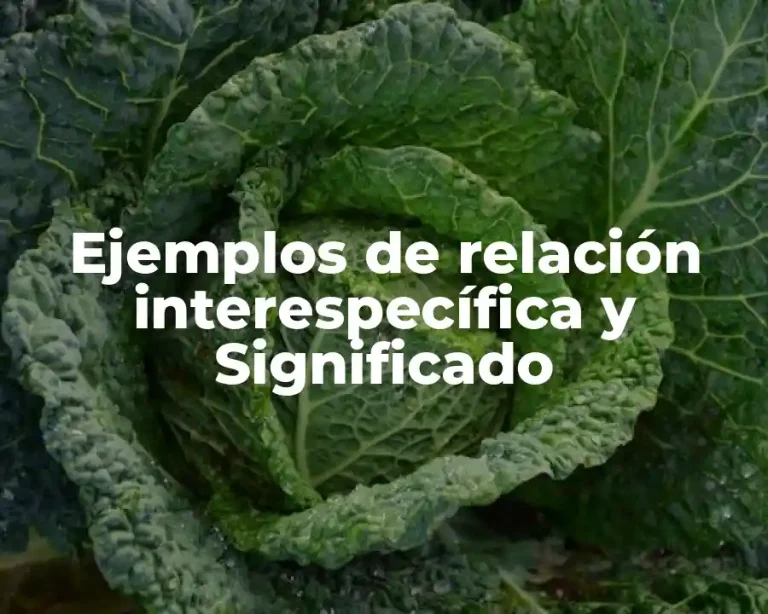 Ejemplos de relación interespecífica y Significado