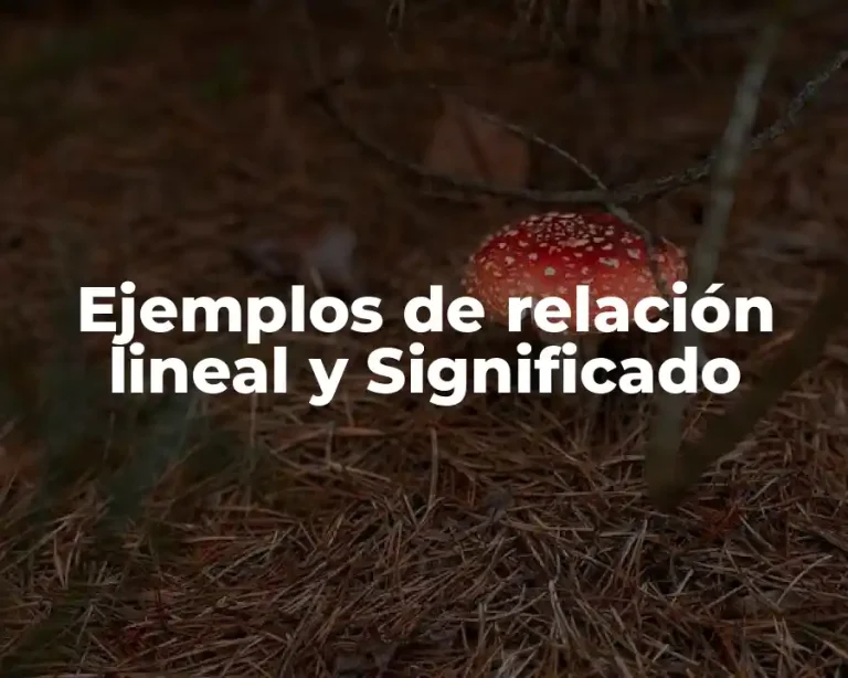 Ejemplos de relación lineal y Significado