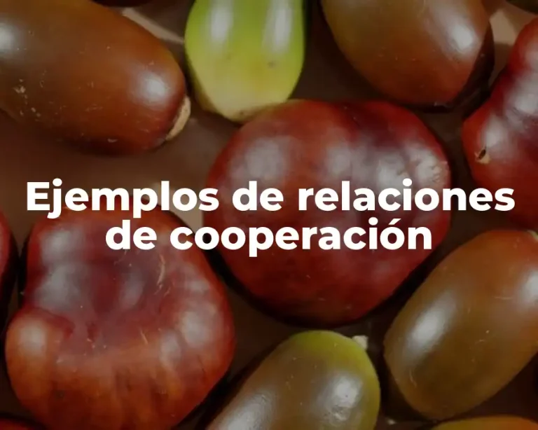 Ejemplos de relaciones de cooperación
