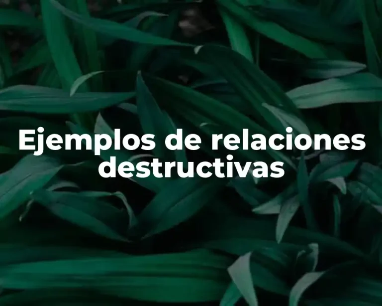 Ejemplos de relaciones destructivas