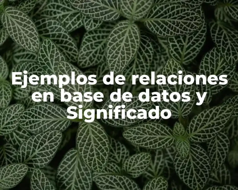 Ejemplos de relaciones en base de datos y Significado