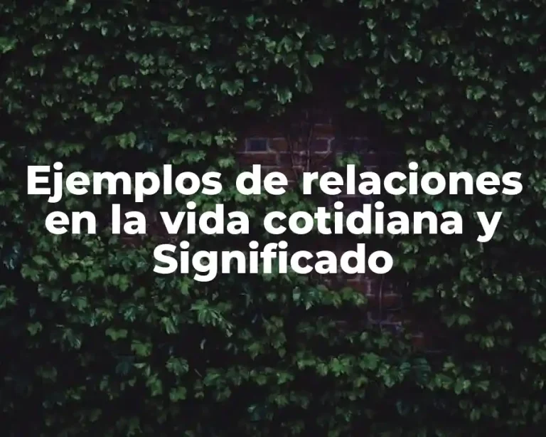 Ejemplos de relaciones en la vida cotidiana y Significado