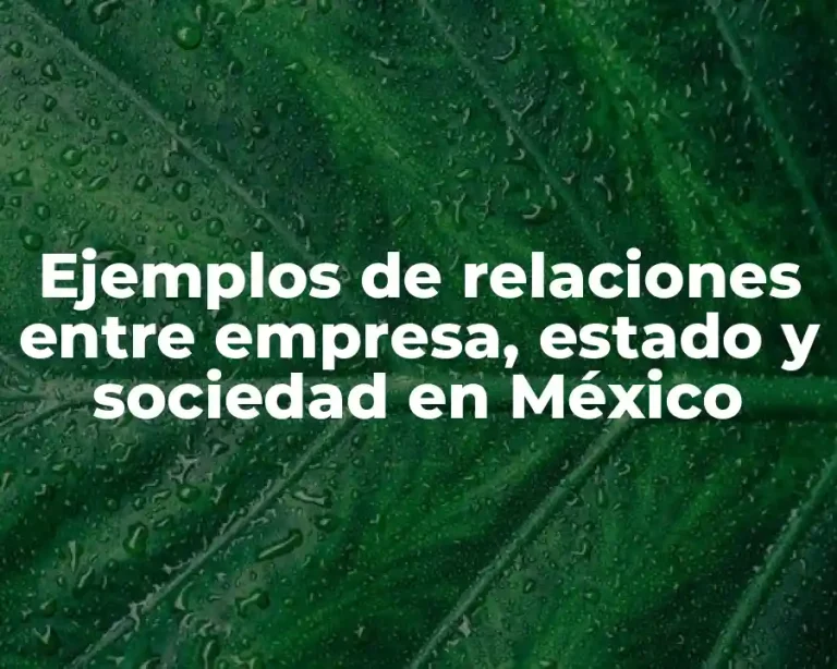 Ejemplos de relaciones entre empresa, estado y sociedad en México