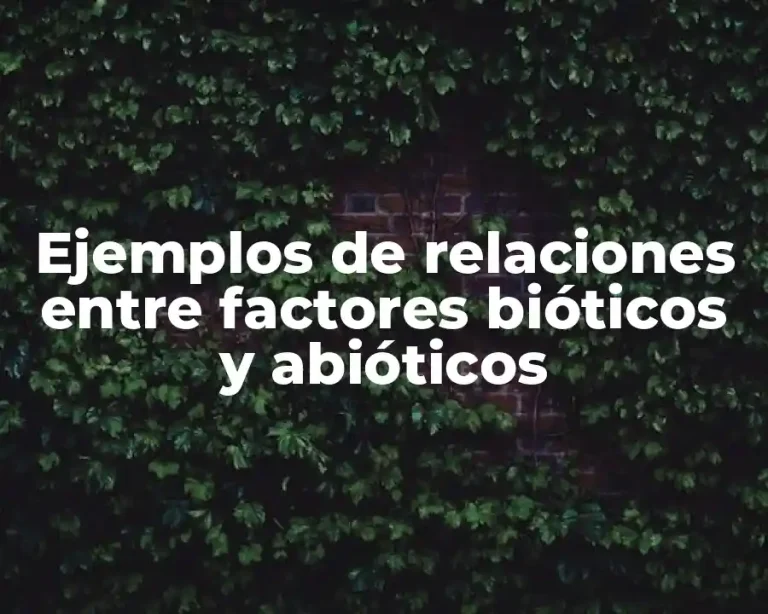 Ejemplos de relaciones entre factores bióticos y abióticos