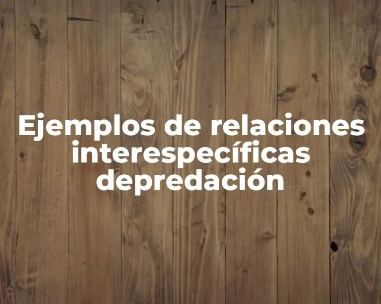 Ejemplos de relaciones interespecíficas depredación