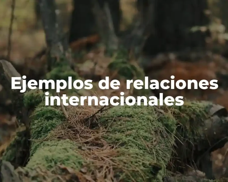 Ejemplos de relaciones internacionales