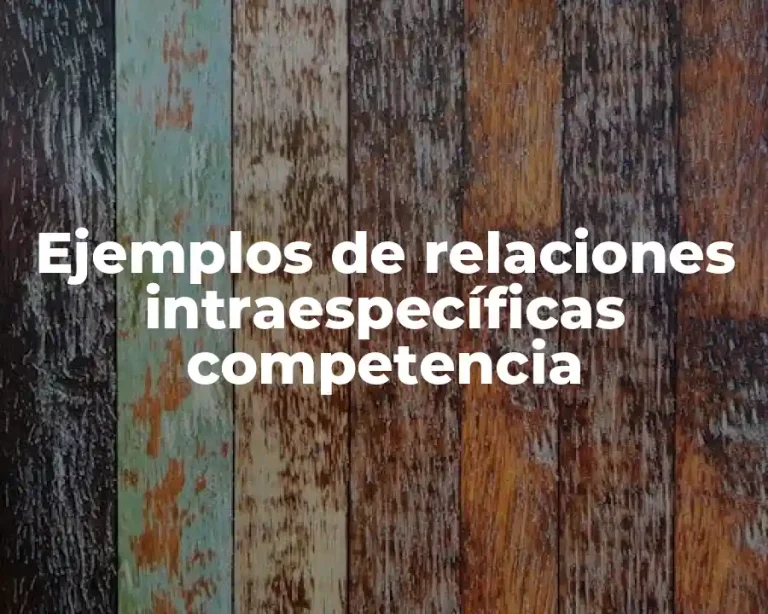 Ejemplos de relaciones intraespecíficas competencia
