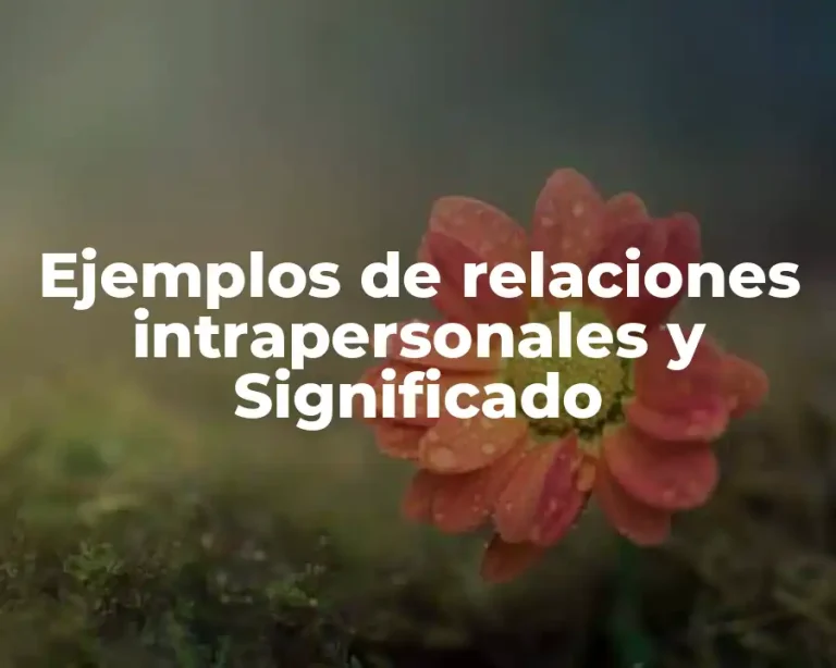 Ejemplos de relaciones intrapersonales y Significado