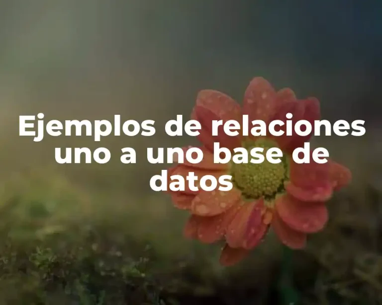 Ejemplos de relaciones uno a uno base de datos