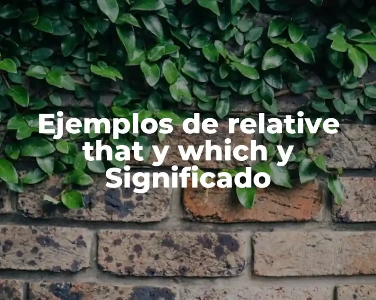 Ejemplos de relative that y which y Significado