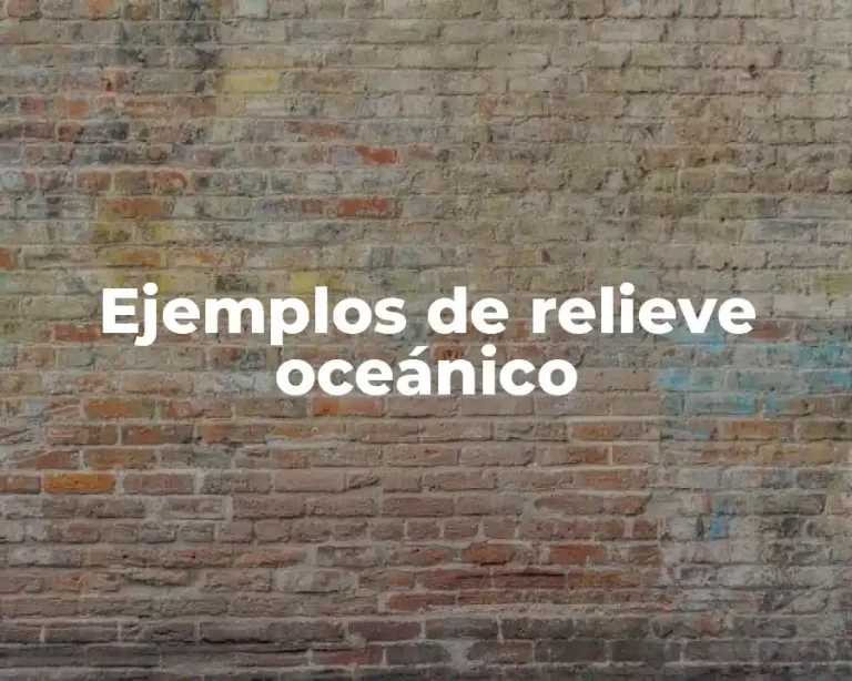 Ejemplos de relieve oceánico